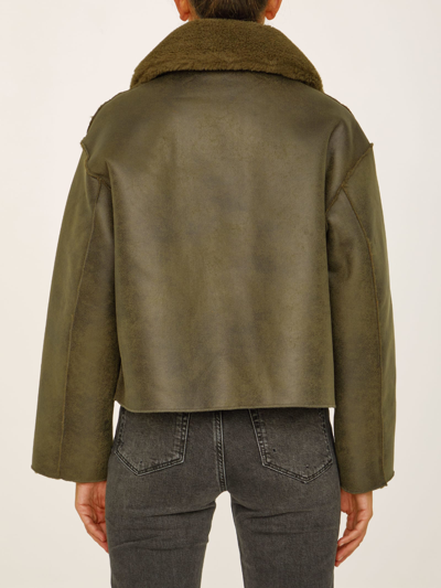 Vera Shearling Aviator