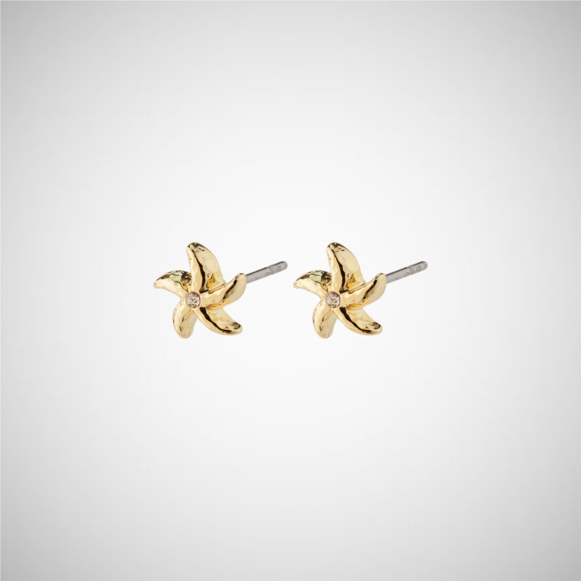 Oakley Recycled Starfish Earrings (8246774726864)