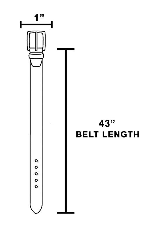 Metallic Rectangle Buckle Leather Belt (8258937880784)