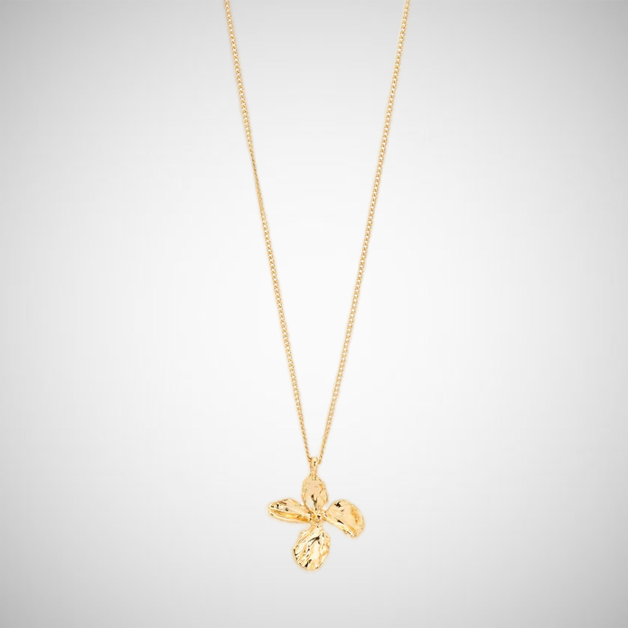 Dream Necklace Gold-Plated (8302556840144)