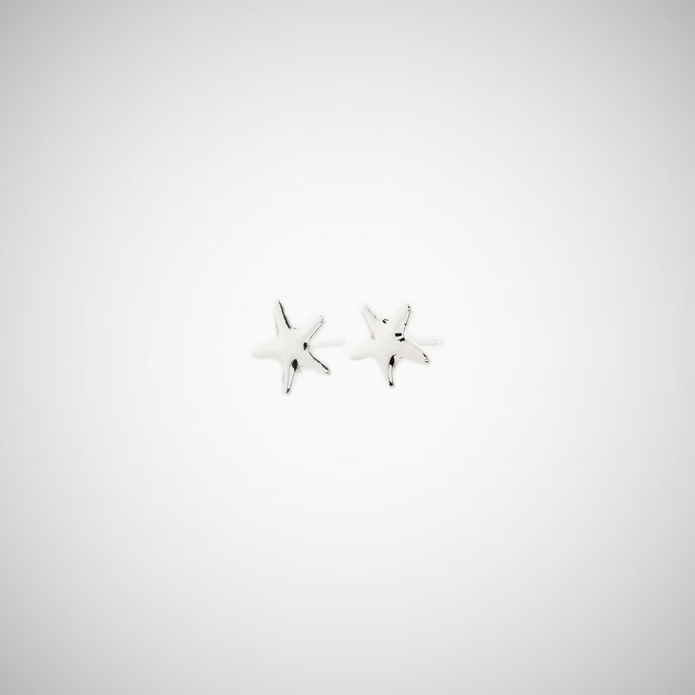 Andre Earrings Silver-Plated (8302557331664)