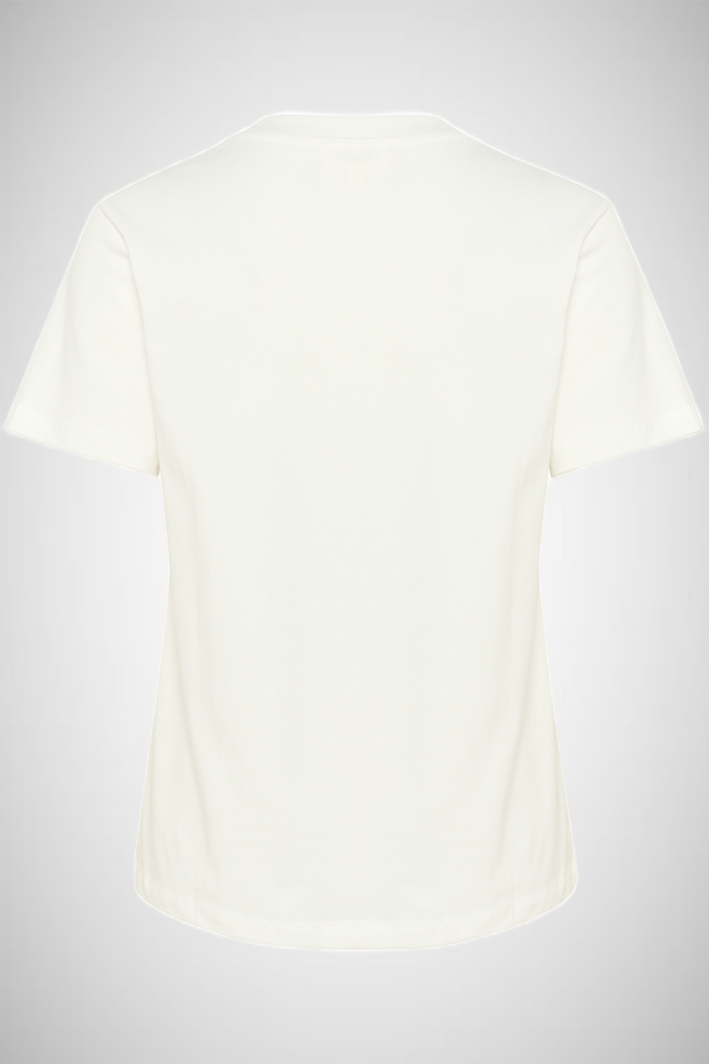 Jina Crew-Neck Tee (8331023548624)