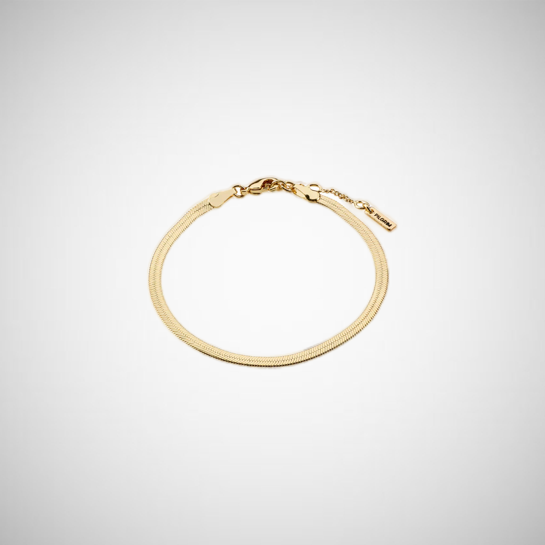Joanna Recycled Flat Snake Chain Bracelet Gold Plated (8302555300048)