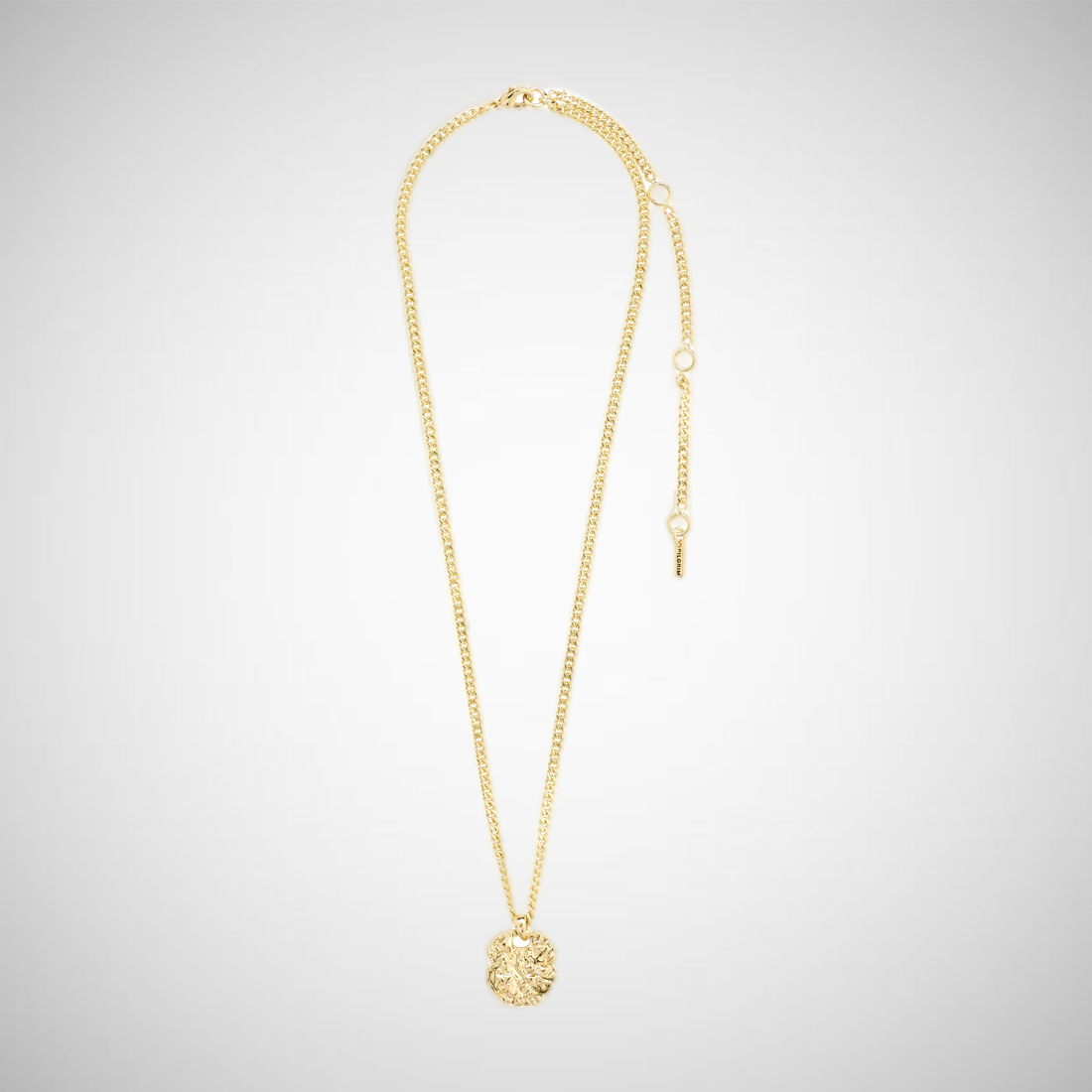 Scottie Recycled Coin Necklace Gold Plated (8302555136208)