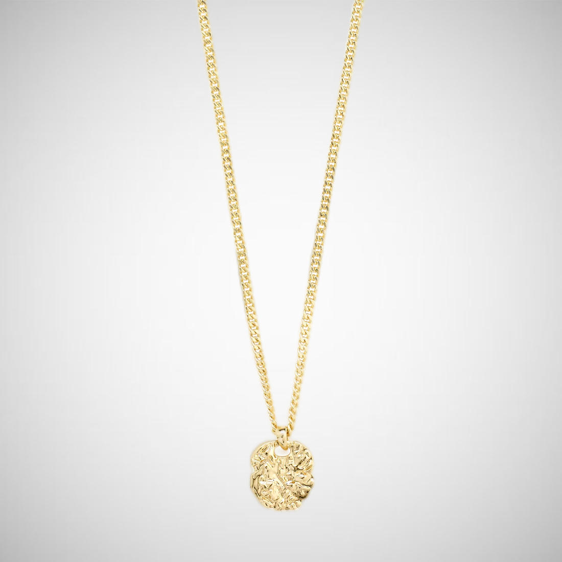 Scottie Recycled Coin Necklace Gold Plated (8302555136208)
