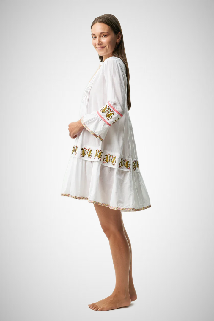 Ari (8255332024528)