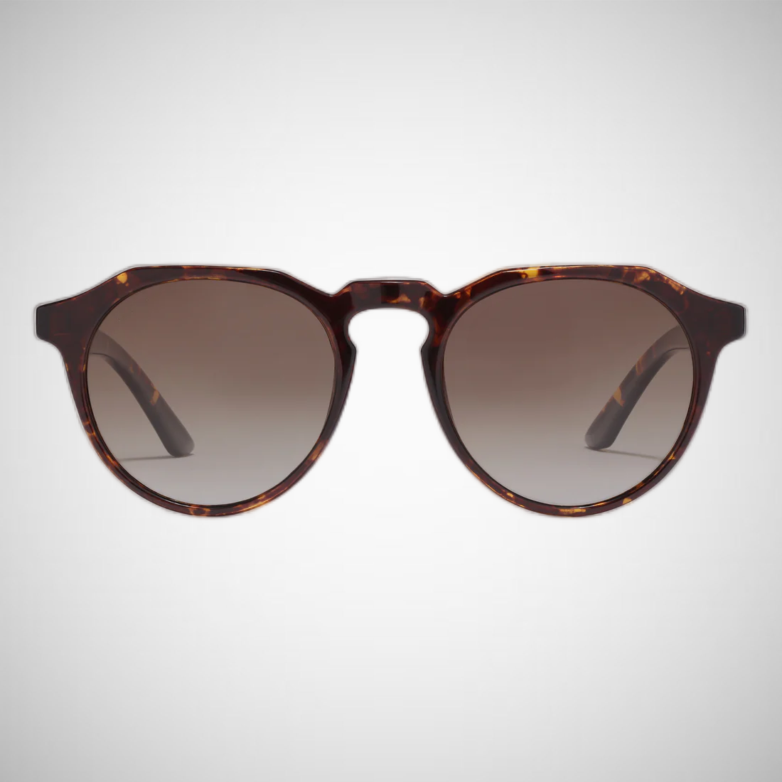 Alejandra Sunglasses (8303157805264)
