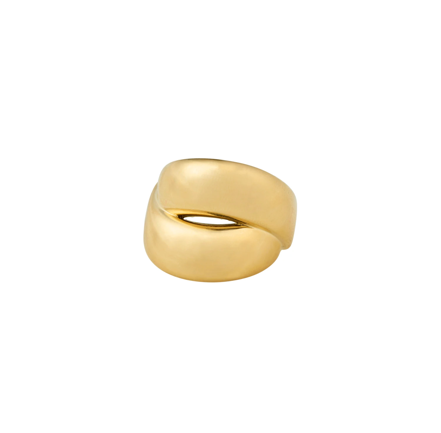 Pilgrim+Ring+Raven+Gold+plated (6700837175504)