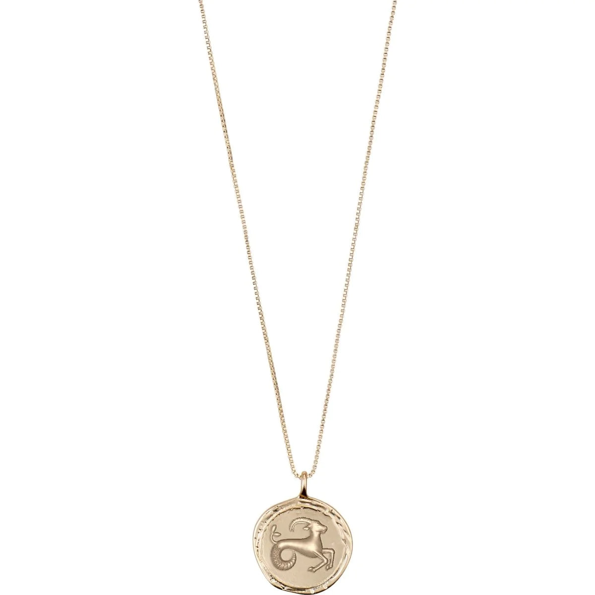 PILGRIM Necklace: CAPRICORN Horoscope Necklace (Gold Plated) (7724947898576)