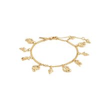 Load image into Gallery viewer, Gold-plated charm bracelet (8046274871504)

