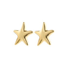 Load image into Gallery viewer, Gold-plated earrings with starfish motif (8046274805968)
