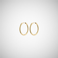 Charger l&#39;image dans la galerie, April Recycled Small Hoop Earrings (8246775054544)

