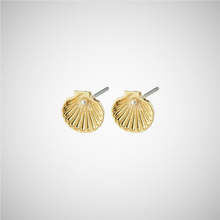 Charger l&#39;image dans la galerie, Opal Recycled Seashell Earrings (8246774792400)
