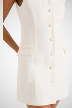 Load image into Gallery viewer, Eloise Mini Dress (8250003194064)
