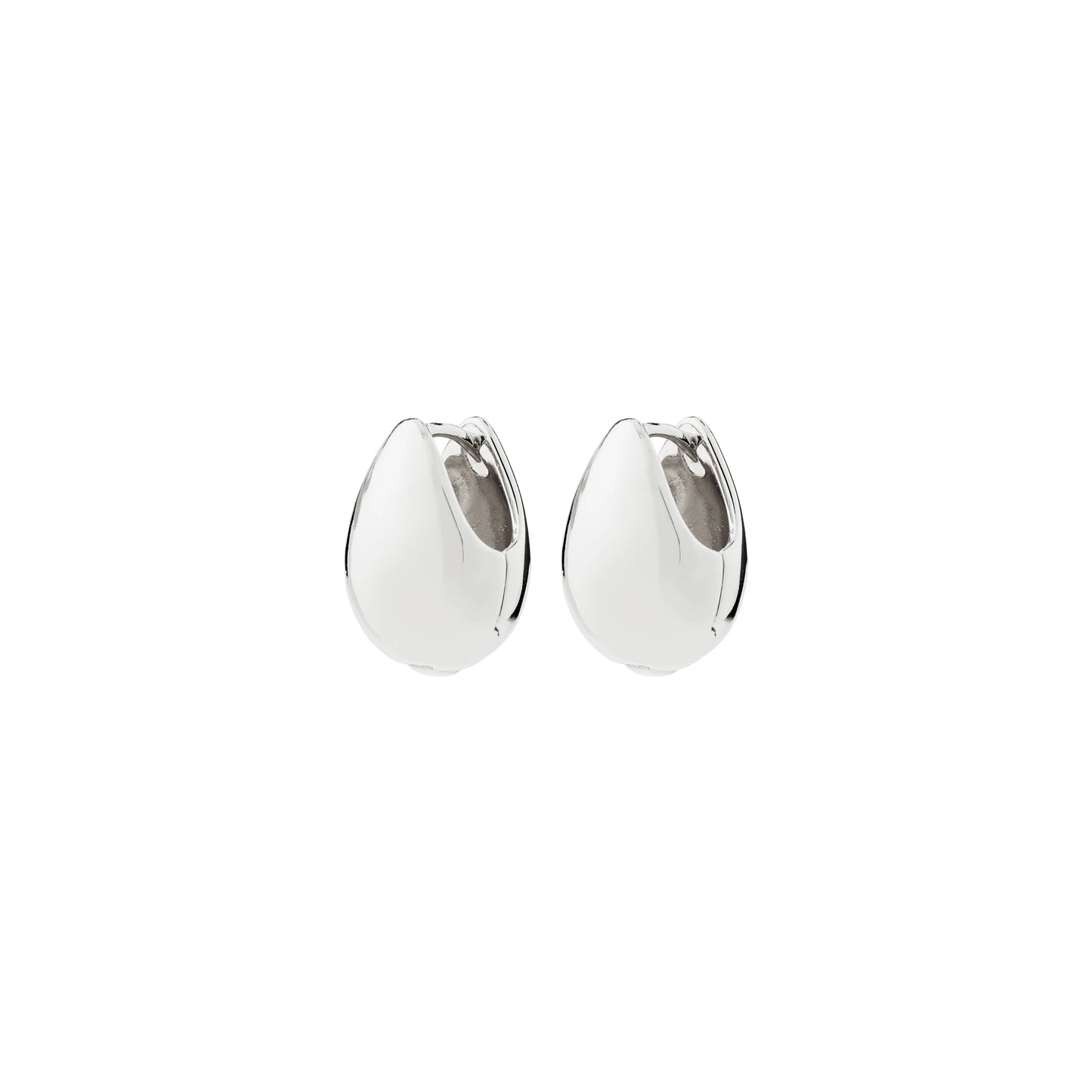 Kaisyn Earrings Silver-Plated