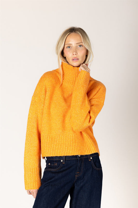 Pull Col Roulé Incontournable