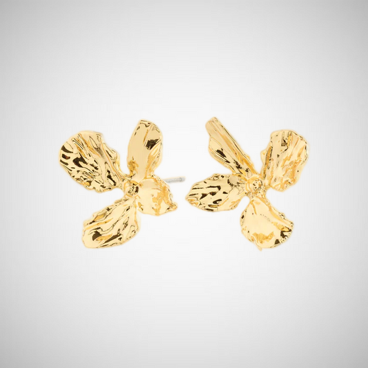 Dream Earrings Gold-Plated (8302556905680)