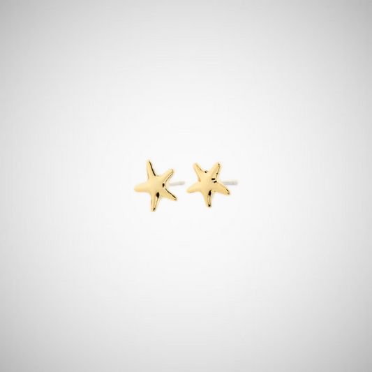 Andre Earrings Gold-Plated (8302557364432)