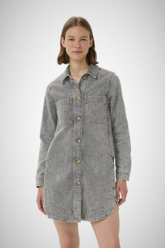 Nanas Denim Dress (8332017074384)