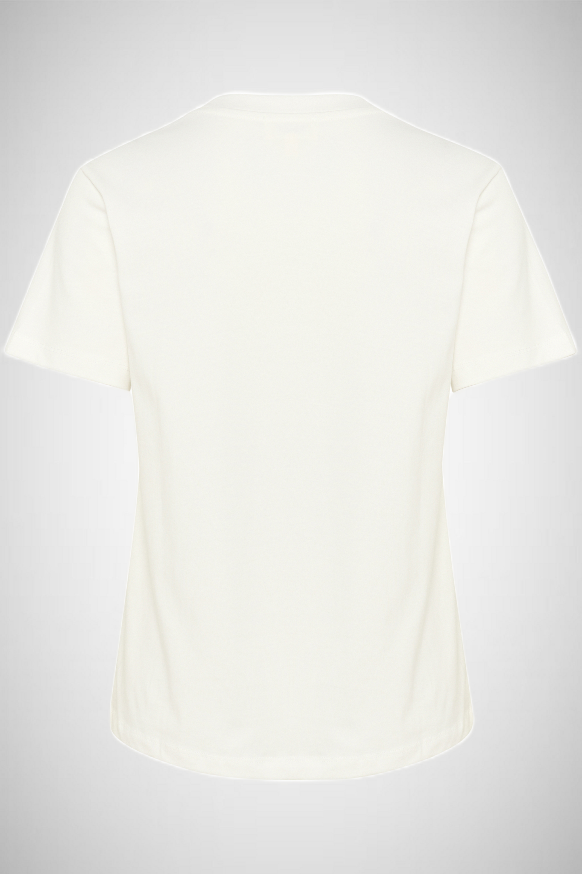 Jina Crew-Neck Tee (8331023548624)
