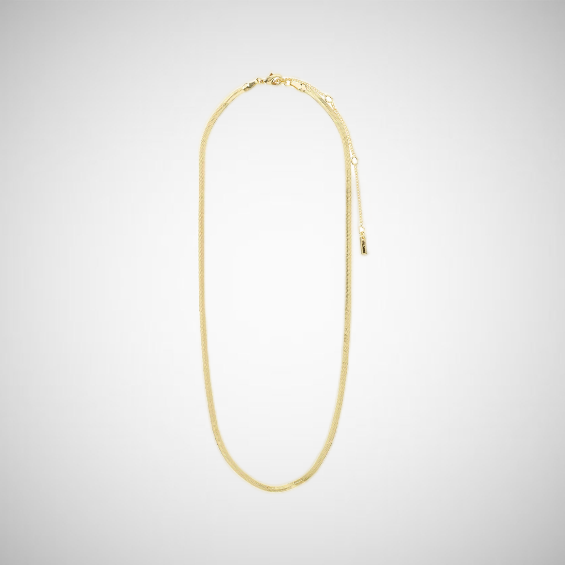 Joanna Recycled Flat Snake Chain Necklace Gold Plated (8302555201744)