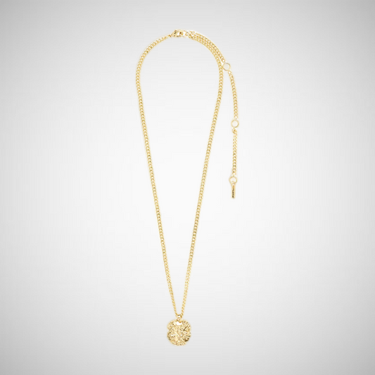 Scottie Recycled Coin Necklace Gold Plated (8302555136208)
