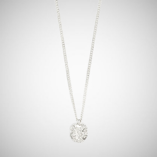 Scottie Recycled Coin Necklace Silver Plated (8302555103440)