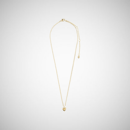 Alaia Necklace Gold-Plated (8335104671952)
