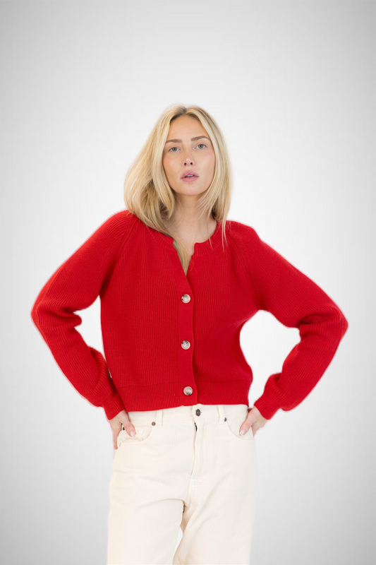 Belle Ribbed Sweater (8341000814800)