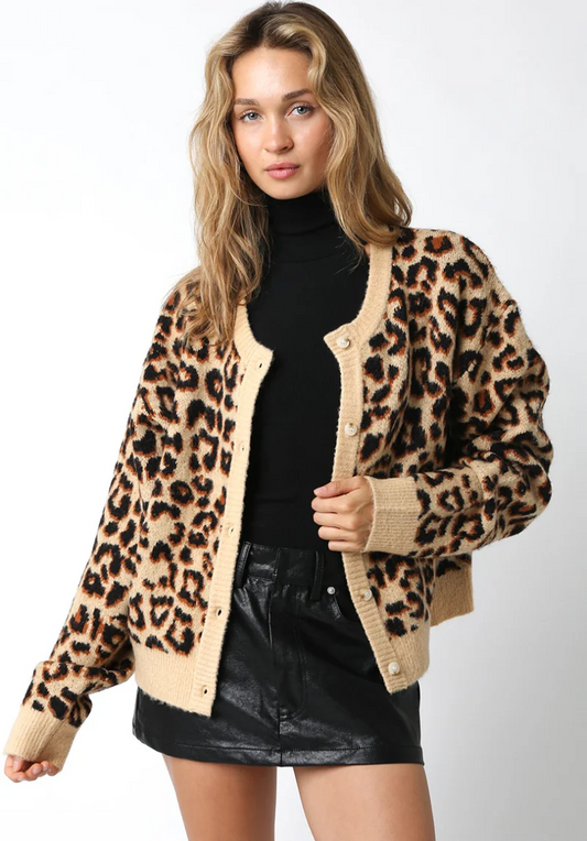 Leopard cardigan (8231748010192)