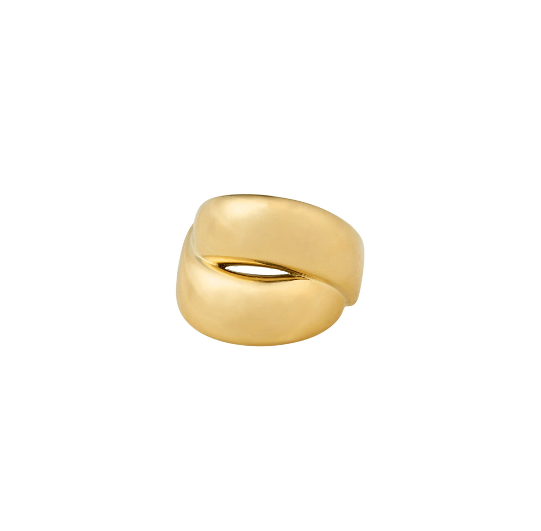 Pilgrim+Ring+Raven+Gold+plated (6700837175504)