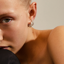 Load image into Gallery viewer, Pilgrim Earrings : Emmy : Crystal Silver Plated (6816770031824)

