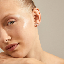 Load image into Gallery viewer, Pilgrim Earrings : Belief : Crystal Silver Plated (6816805355728)
