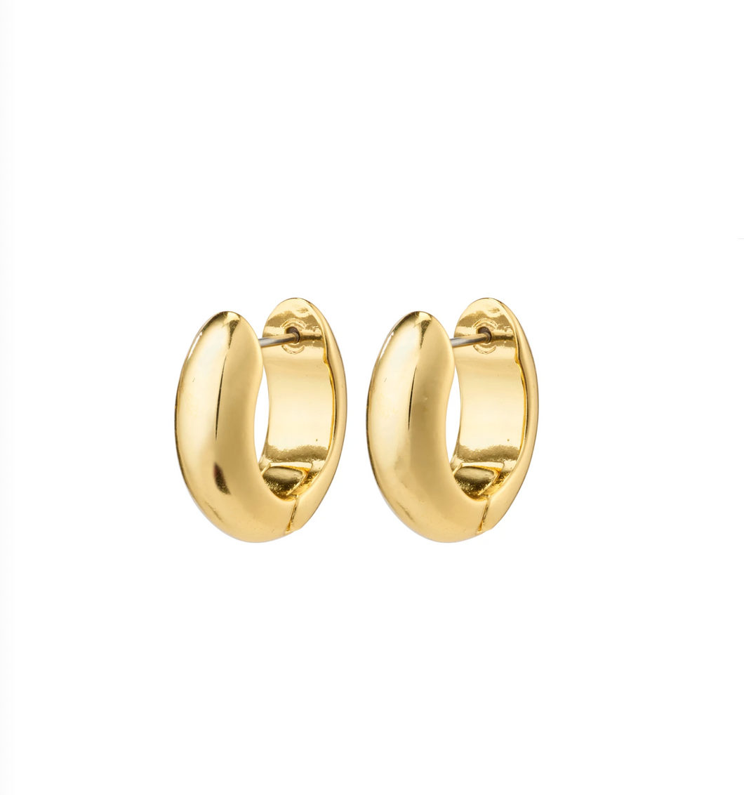 Pilgrim Earrings : Vida : Gold Plated (6816807190736)