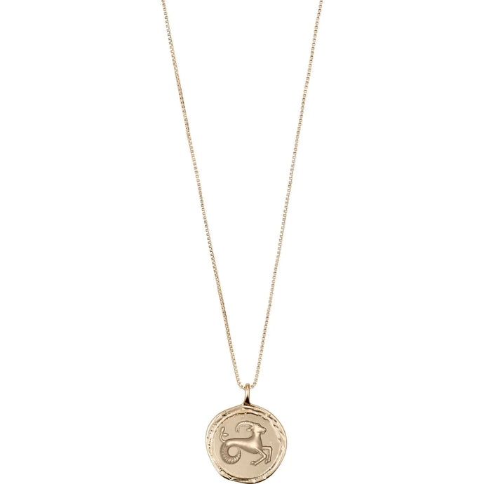 PILGRIM Necklace: CAPRICORN Horoscope Necklace (Gold Plated) (7724947898576)